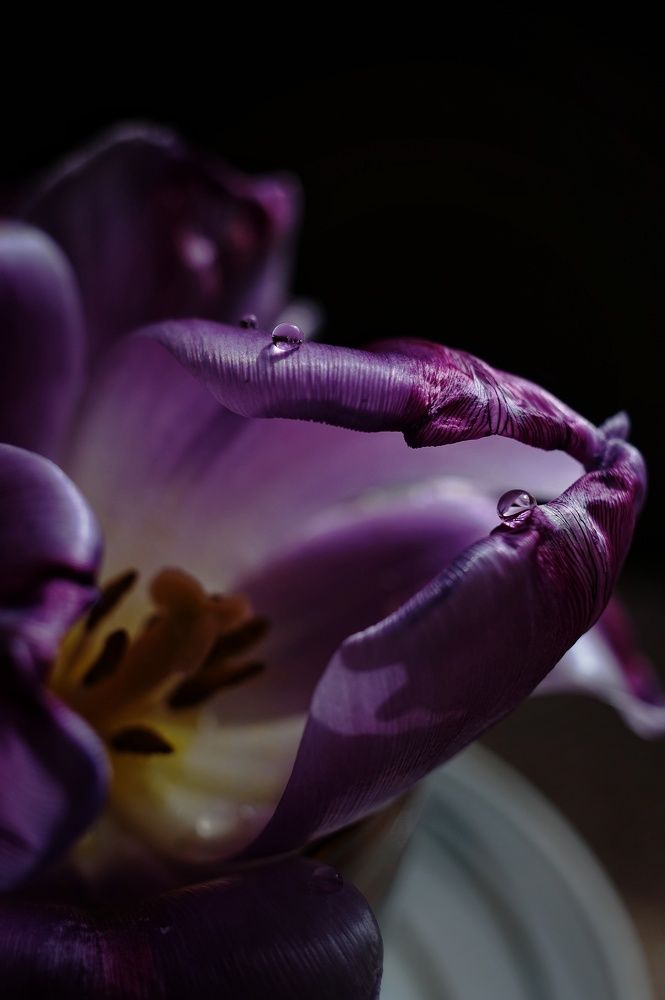 Photograph by Наталья Шленкина