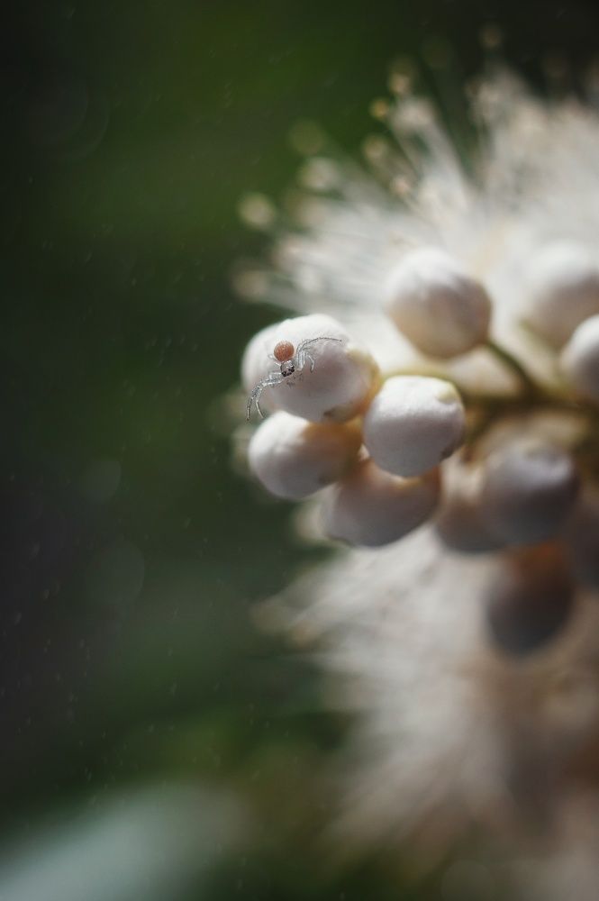 Photograph by Наталья Шленкина