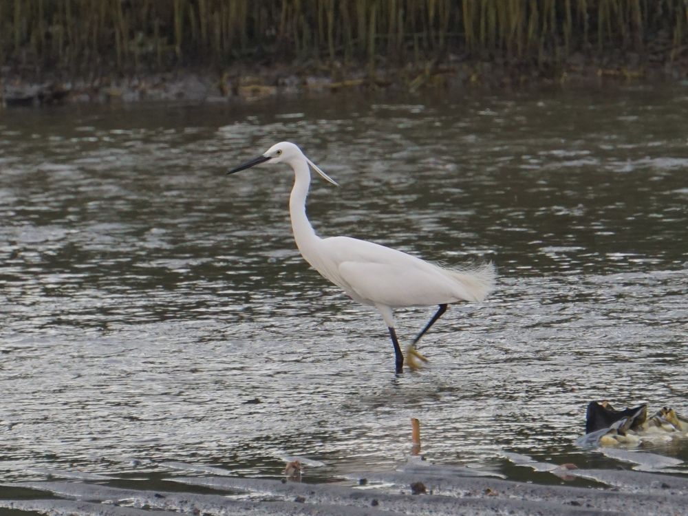 Photograph by Andrew Altarejos