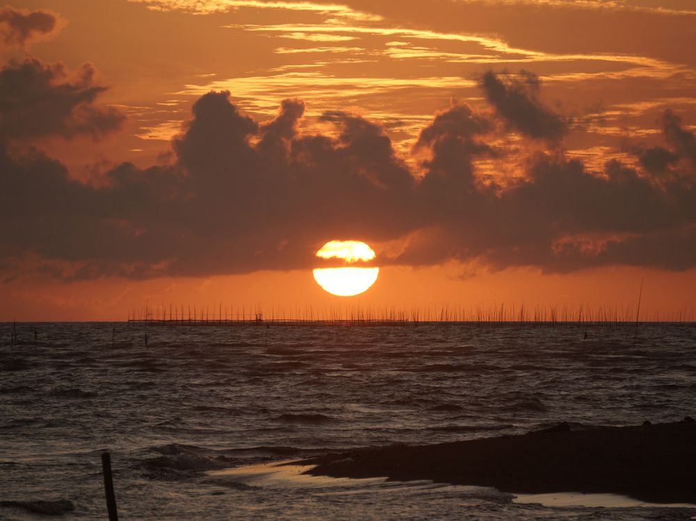 Photograph by Andrew Altarejos