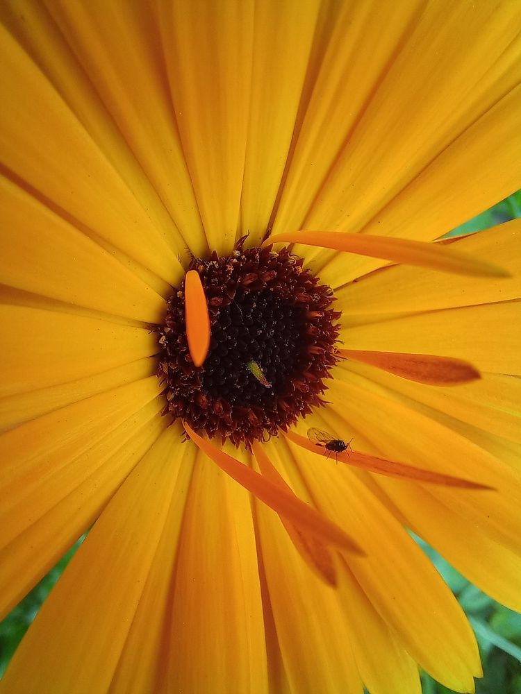 Photograph by Светлана Крон