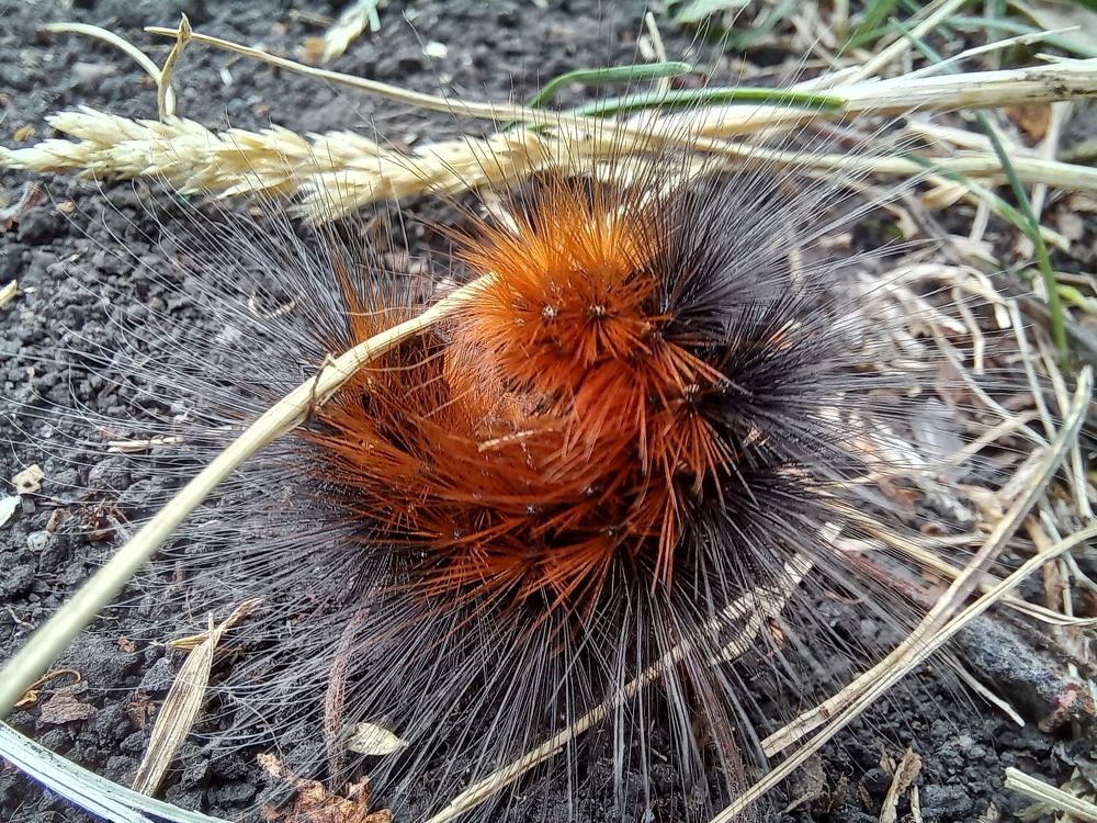 Photograph by Светлана Крон