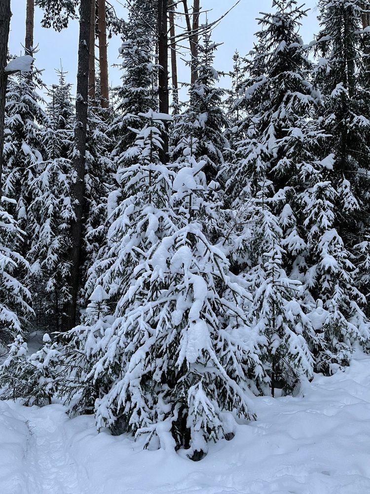 Photograph by Родионова Анастасия