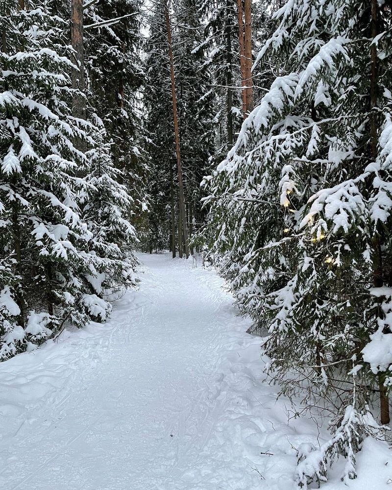 Photograph by Родионова Анастасия