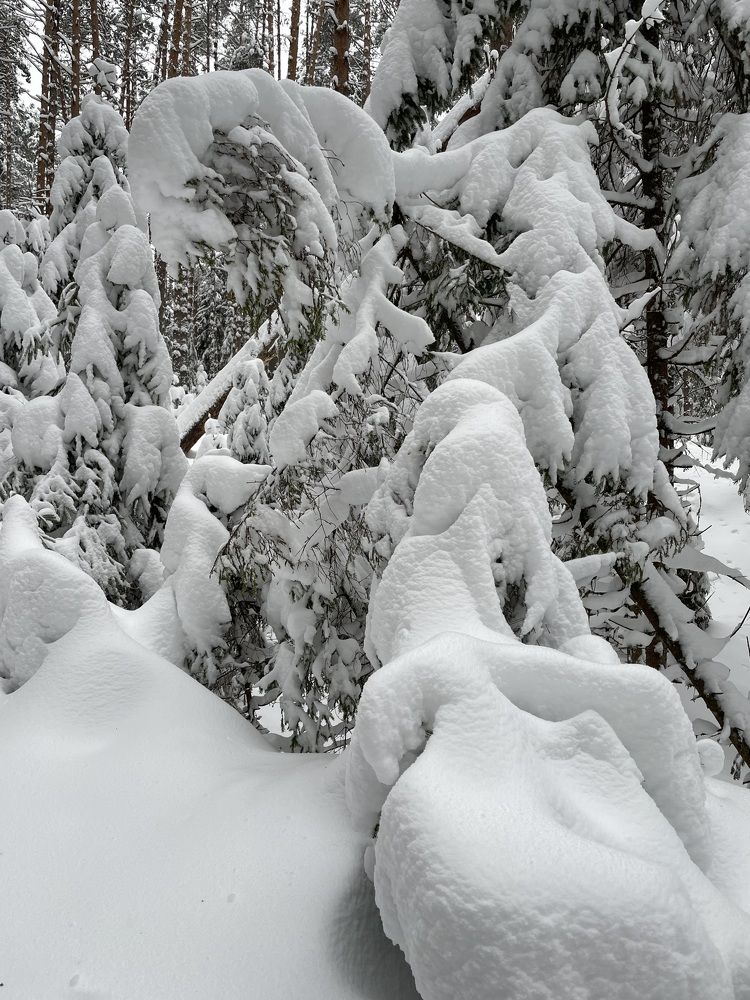 Photograph by Родионова Анастасия