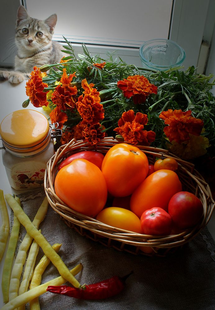 Фотография автора Любовь Харина