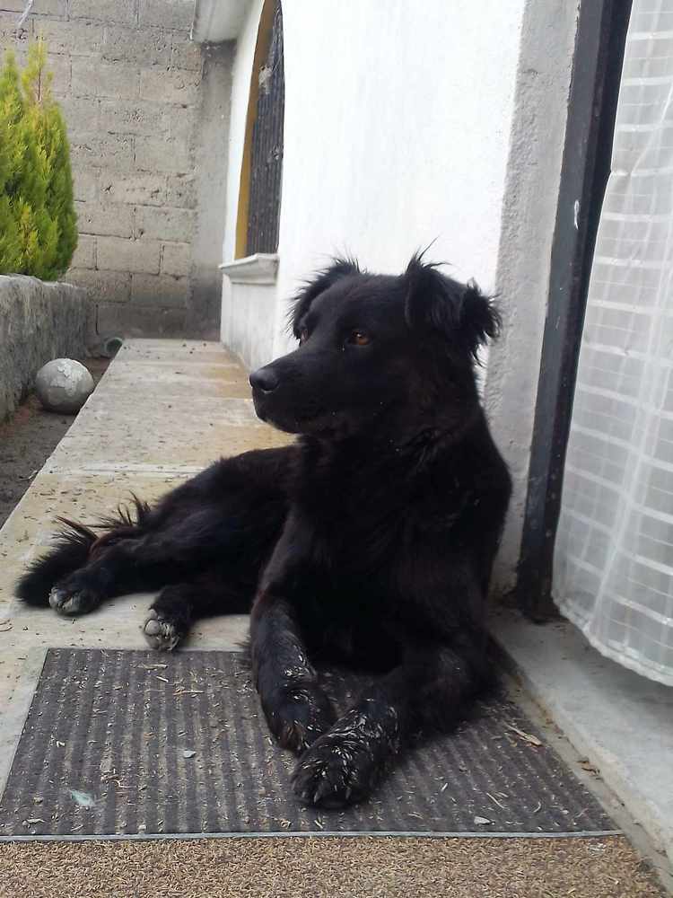 Photograph by Sofia Angeles Roman