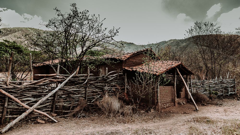 Photograph by Frederico Molini