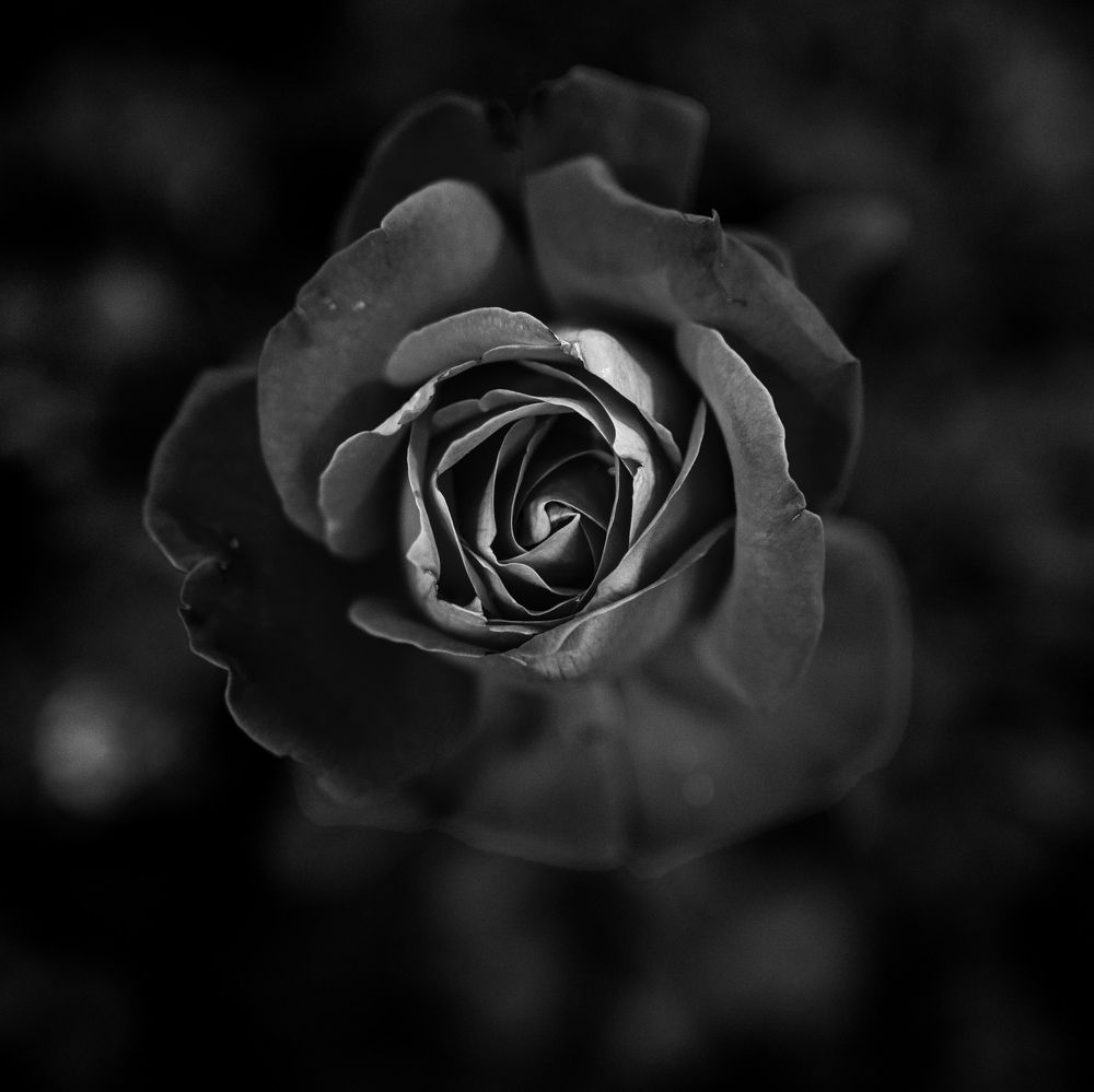 Photograph by Anton Kotlovskii