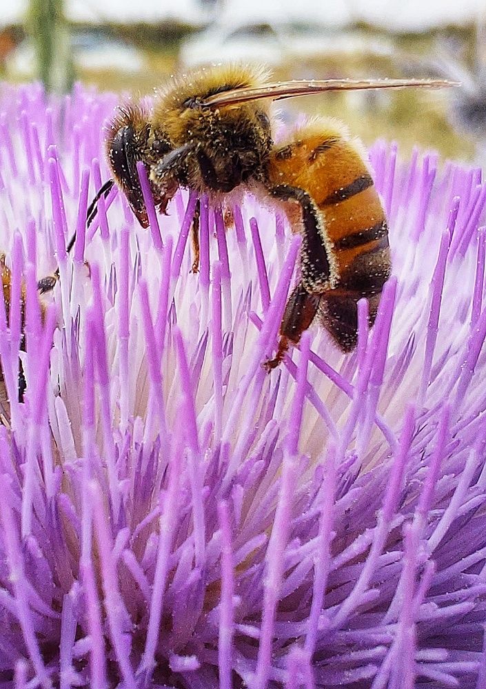 Photograph by Aref rafiepour