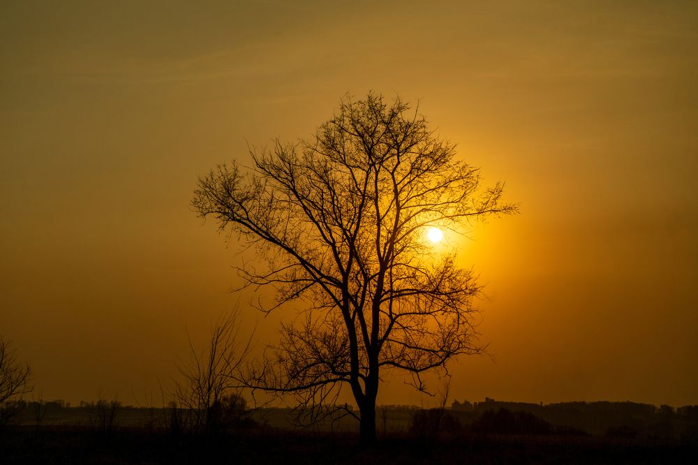 Фотография автора Виталий Гавронский