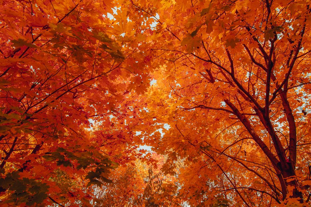 Photograph by Dmitriy Vargaz