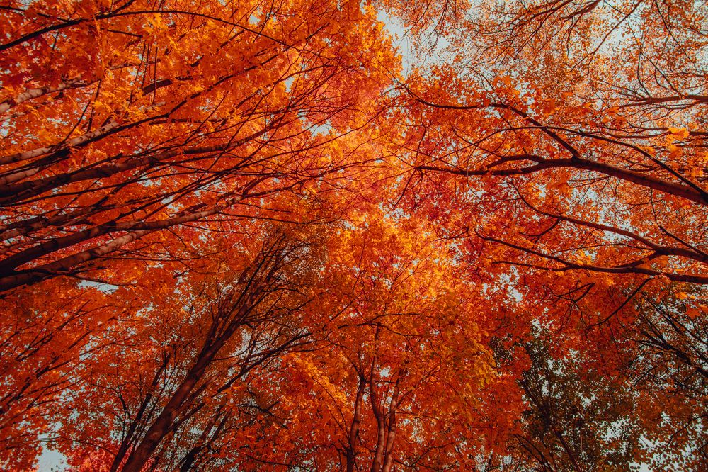 Photograph by Dmitriy Vargaz