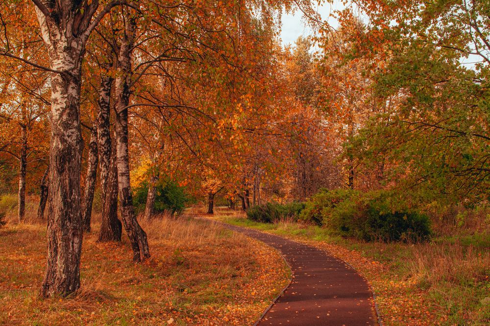 Photograph by Dmitriy Vargaz