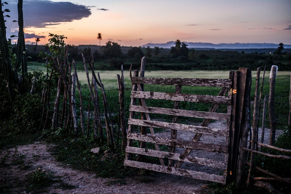 Photograph by Frederico Molini