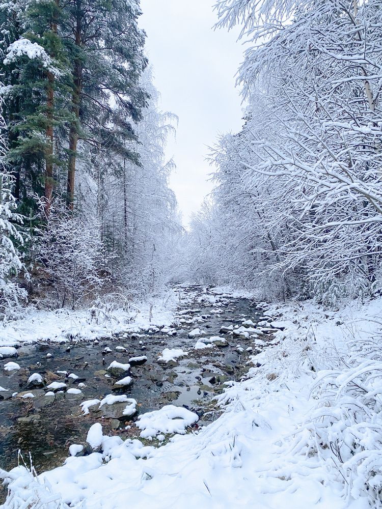 Photograph by Анастасия Чушкова