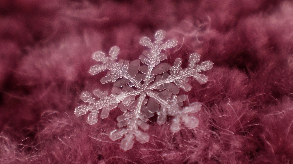 Photograph by Елена Силантьева