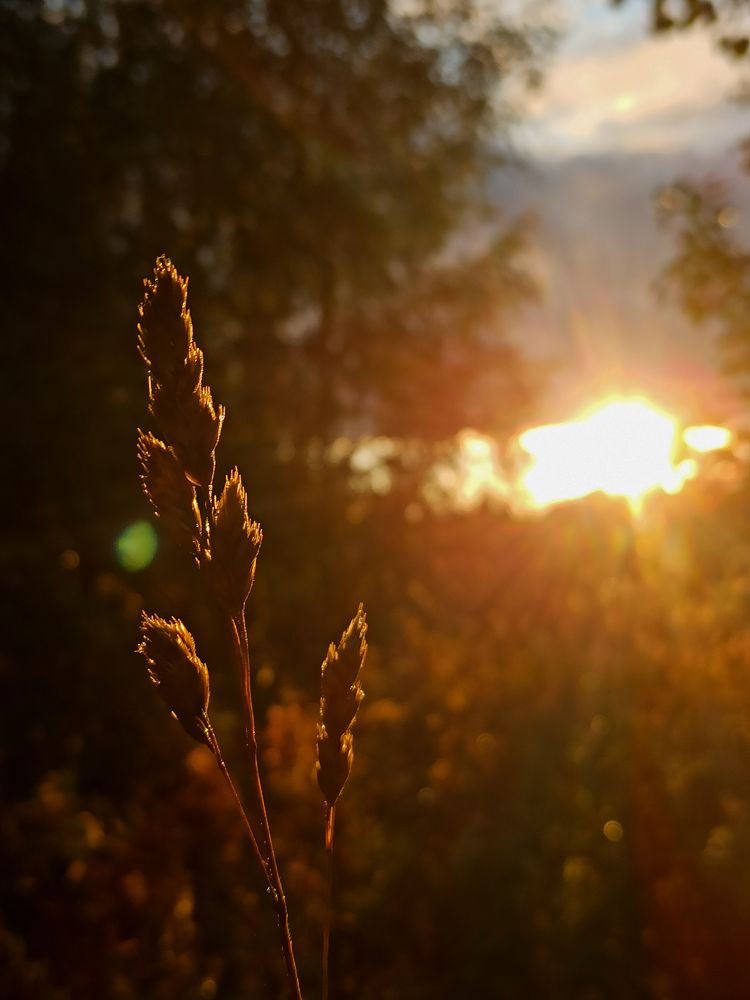 Photograph by Игорь Максимов