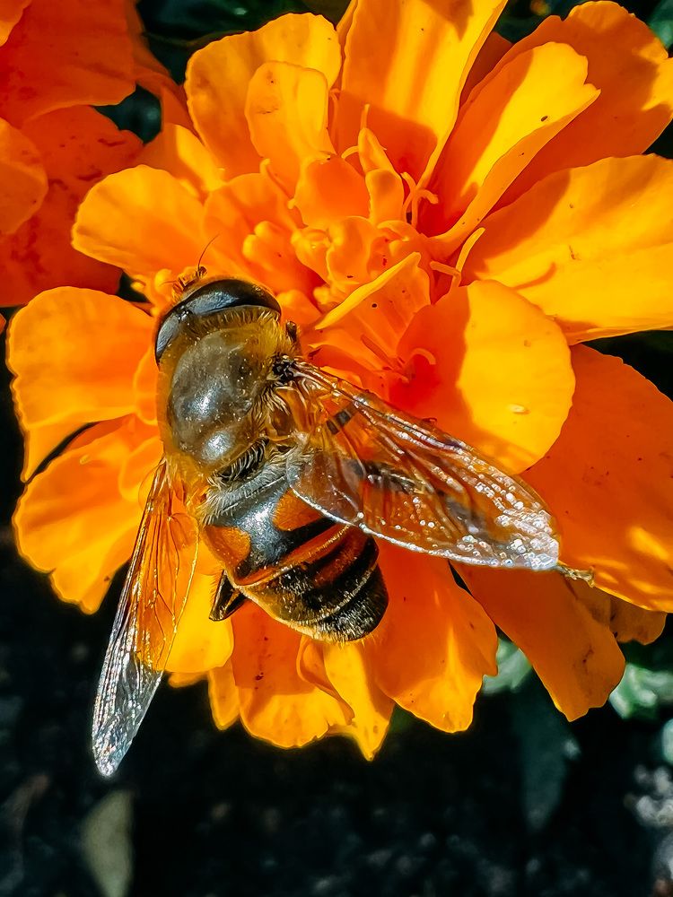 Photograph by Елена Сиушова