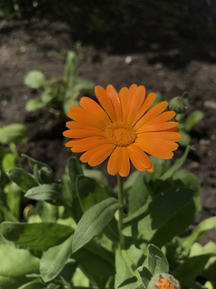 Photograph by Елена Сиушова