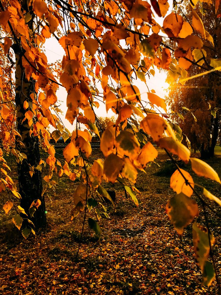 Photograph by Елена Сиушова