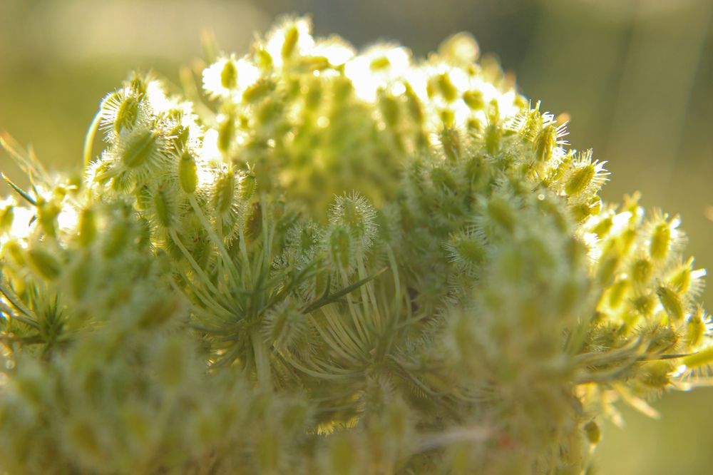 Photograph by Ирина Дмитриенко