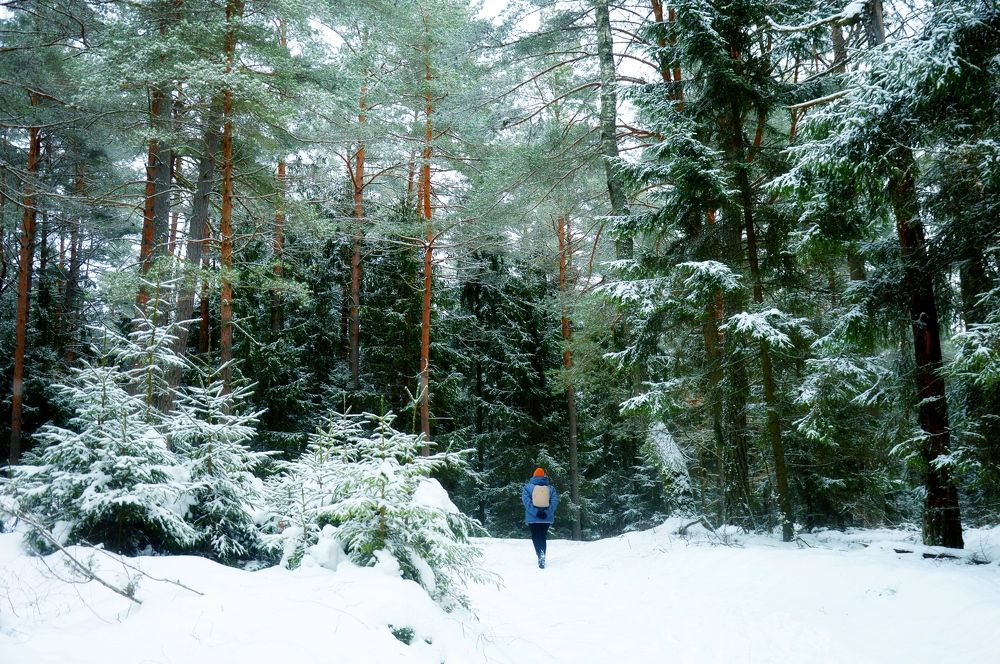 Зимняя сказка