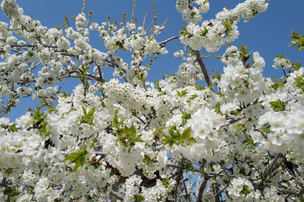 Photograph by Ренат Абушаев