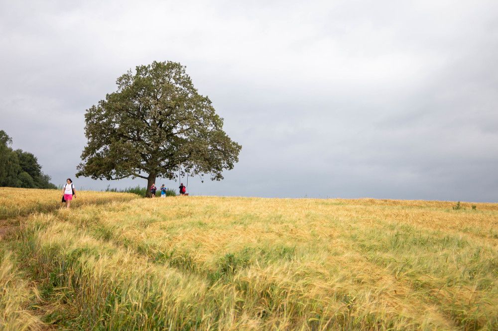 Photograph by Ольга Антохина