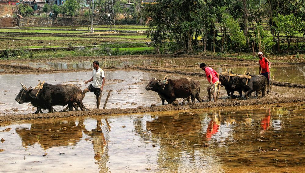 Photograph by Drora Baharal