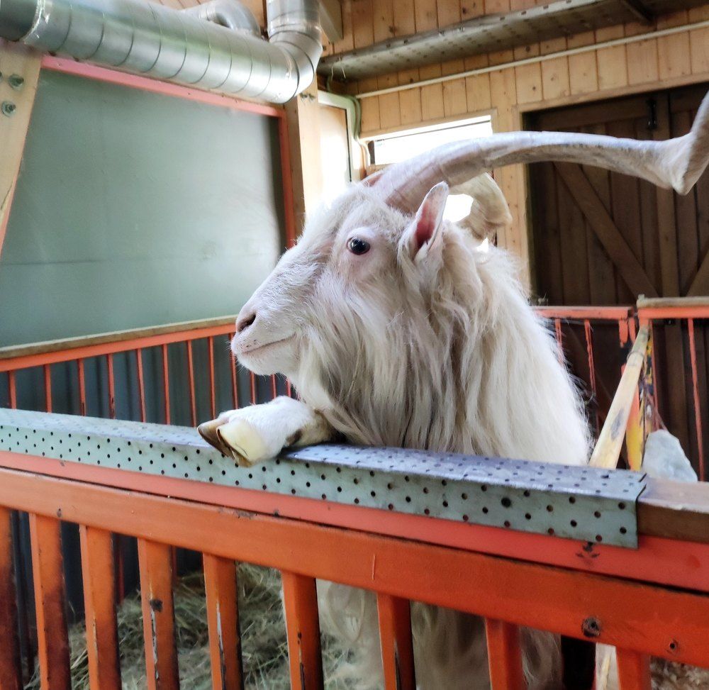 Photograph by Елена Казарина