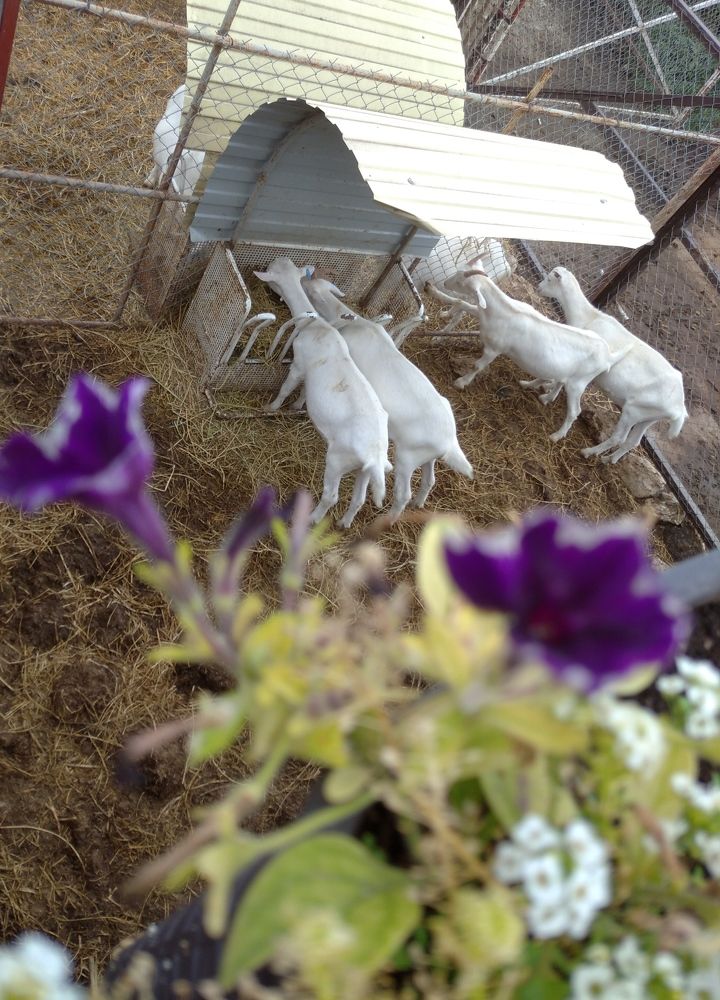 Photograph by Елена Глуховкина