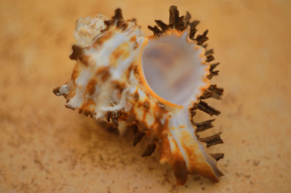 Photograph by Владимир Грибков