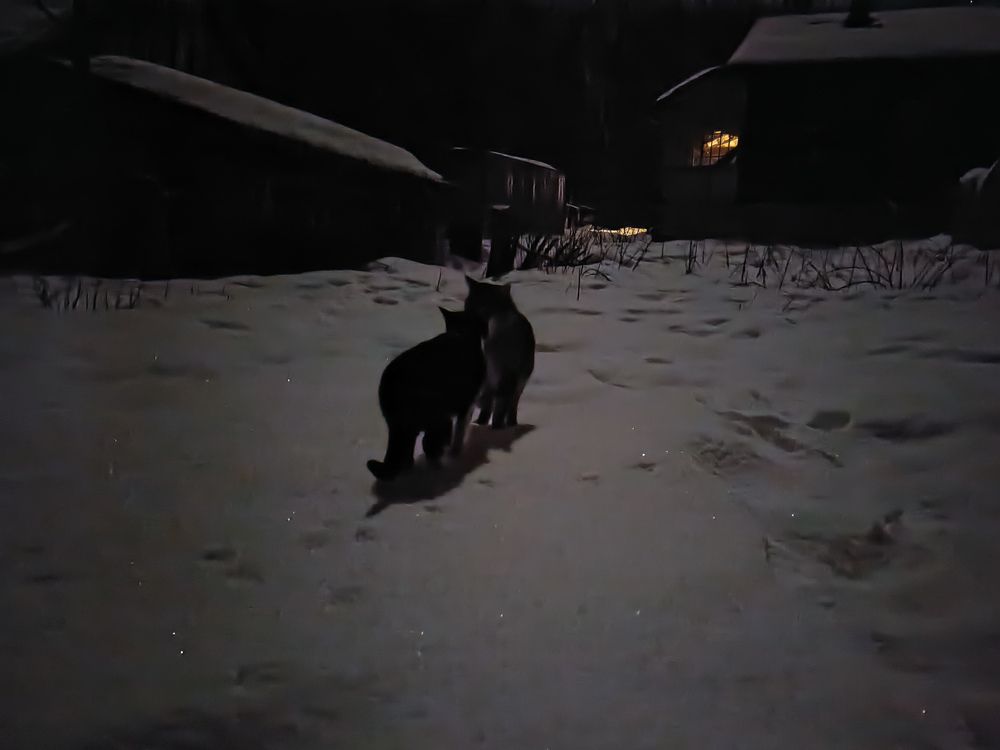 Photograph by Светлана Кондрашова