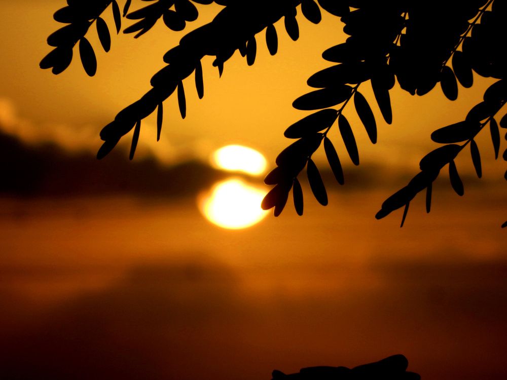 Photograph by Сергей Рапопорт