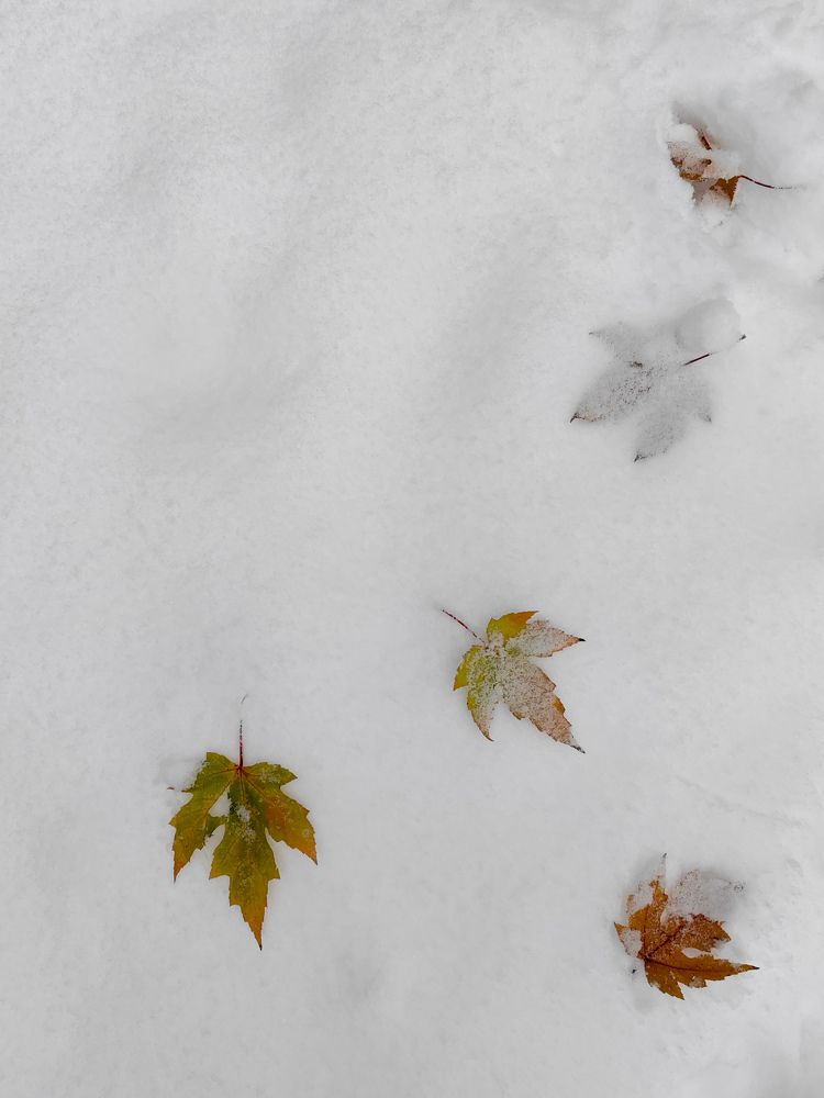 Photograph by Veranika Siratsinina