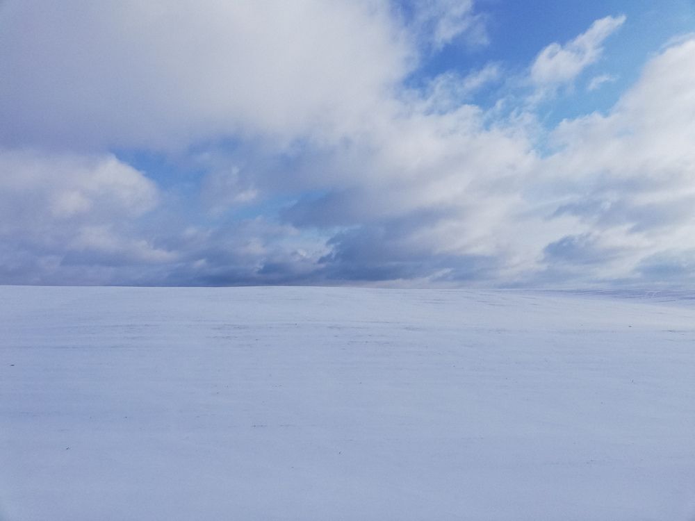 Photograph by Veranika Siratsinina