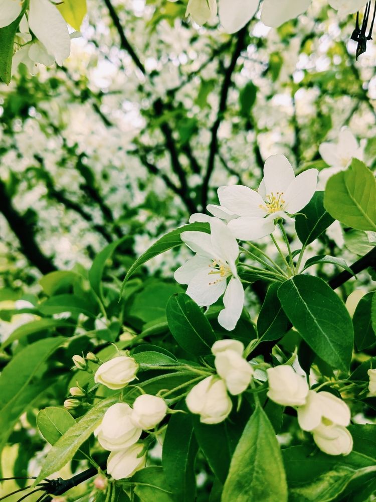 Photograph by Veranika Siratsinina