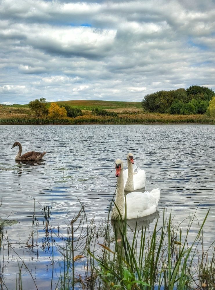 Photograph by Владимир Шаруба