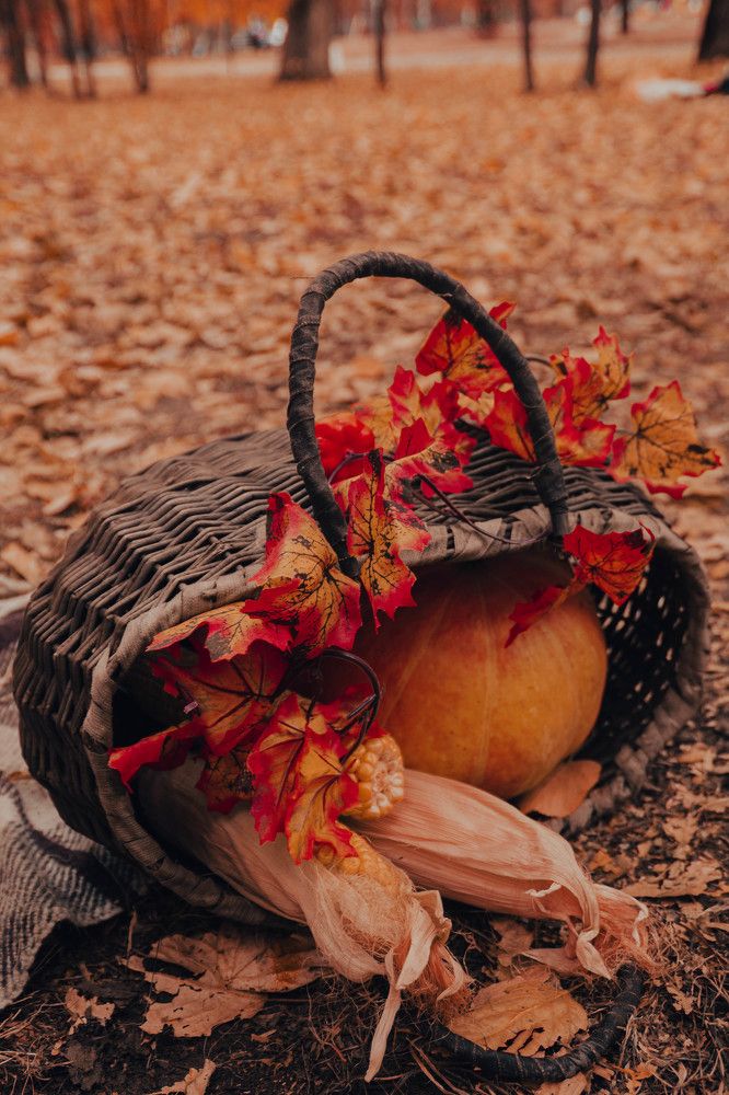 Photograph by Екатерина Осипова