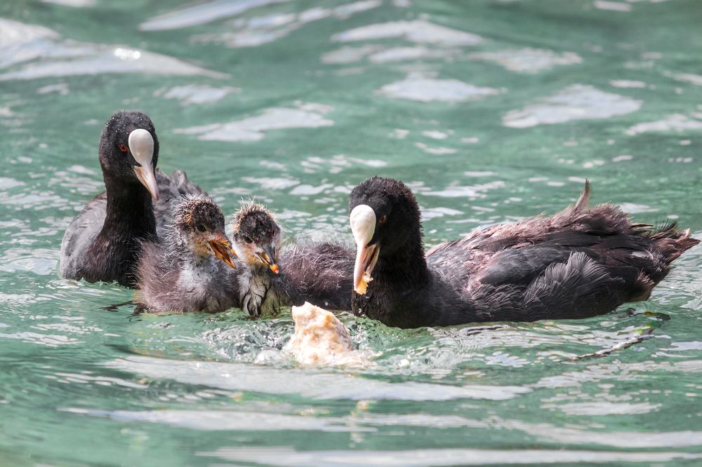 Photograph by Vania Tonova