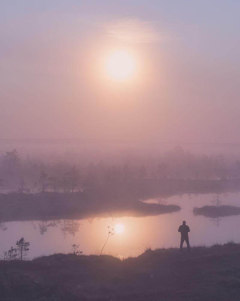 Photograph by Nikolai Mordan