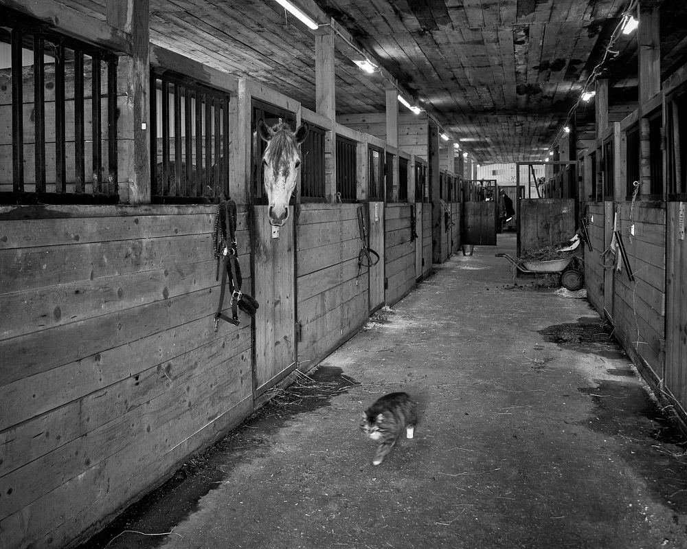 Фотография автора Бороненков Вадим