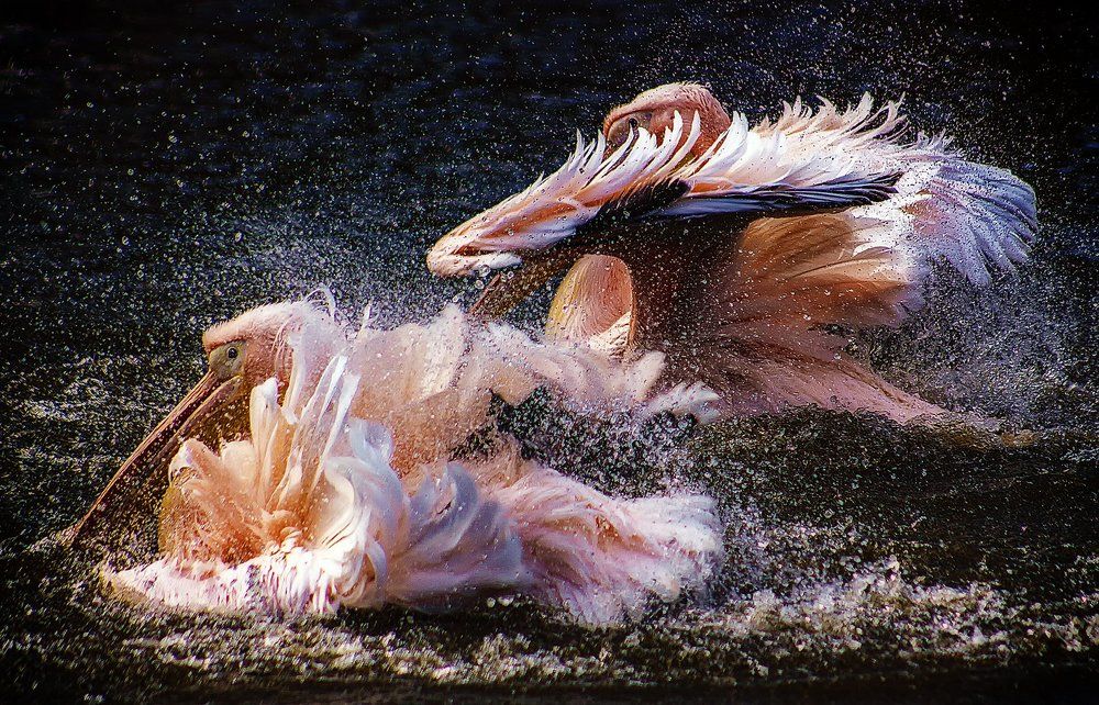 Фотография автора Александр