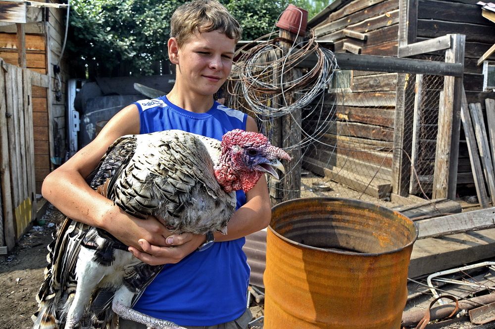 Photograph by Юрий Назыров