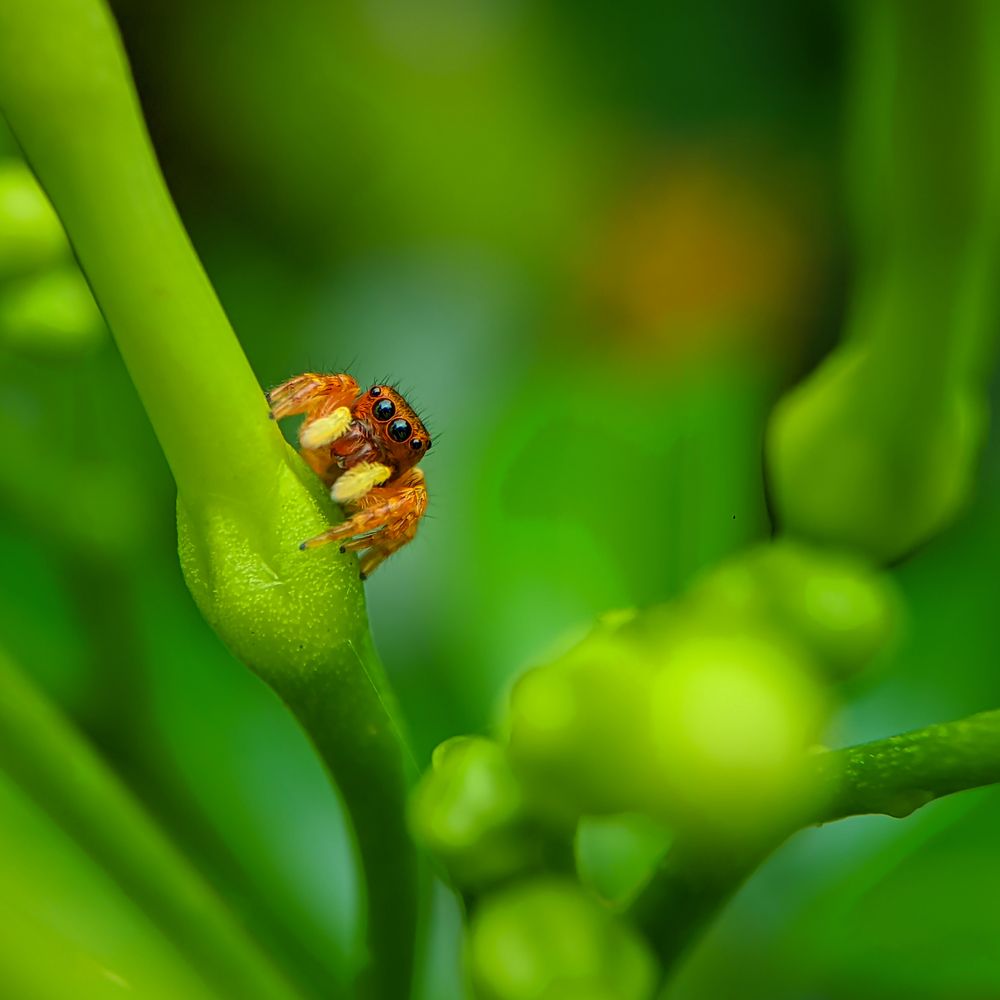 Photograph by Sukanya Chowdhury