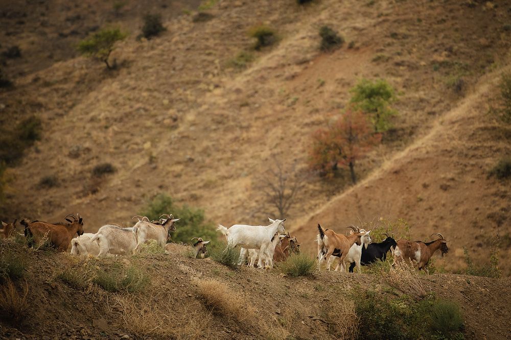 Photograph by Uliya Krakos