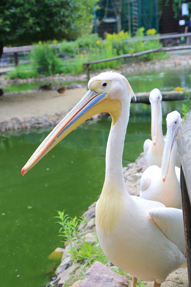 Photograph by Мария Андреева