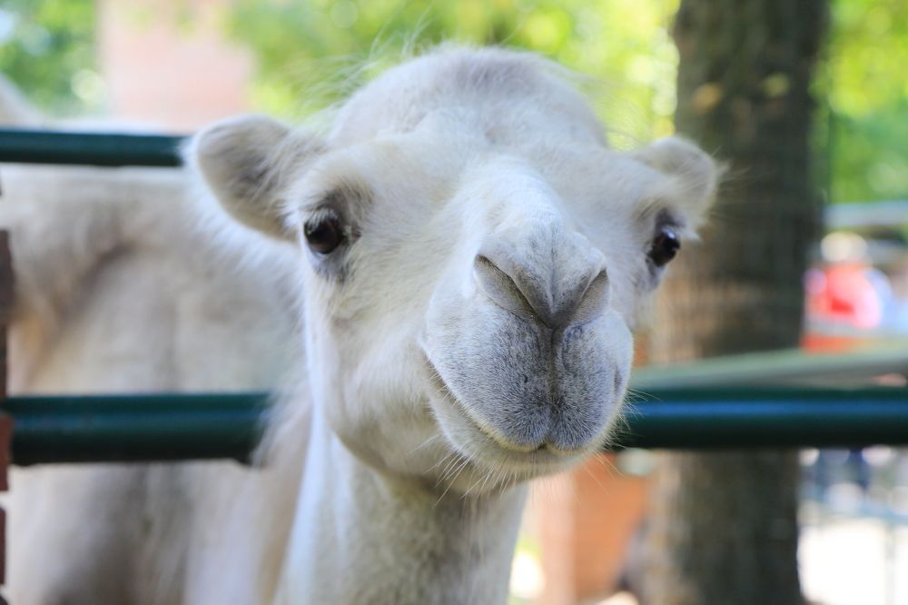 Photograph by Мария Андреева