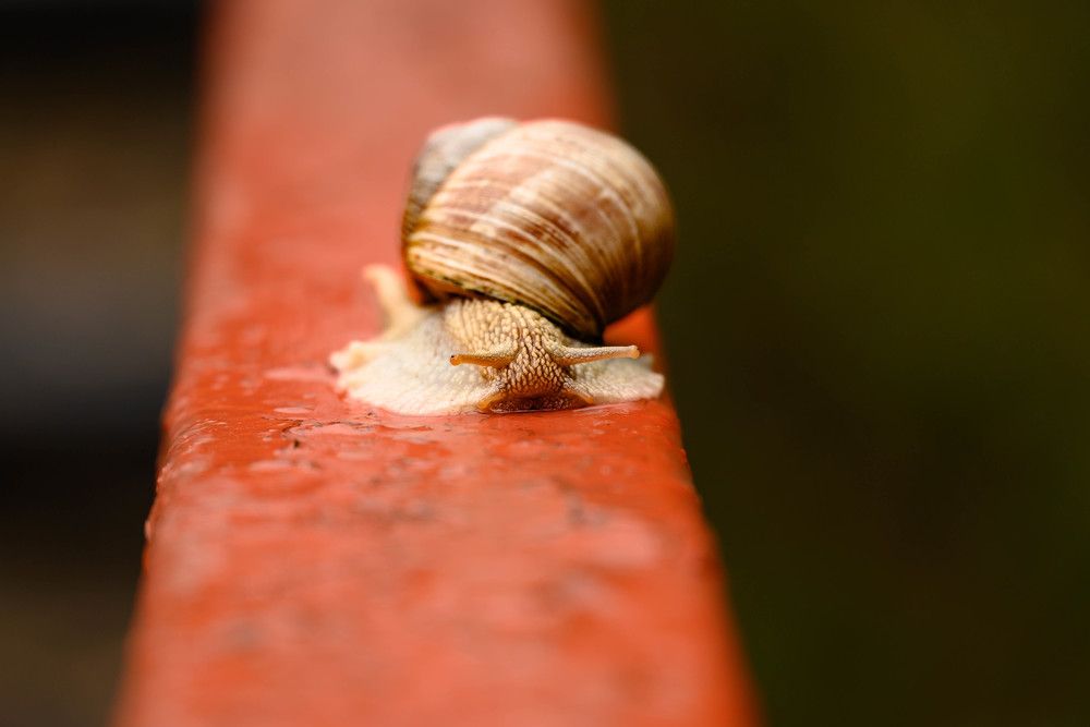 Photograph by Андрей Серга